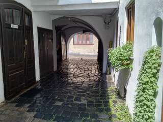 Гостевой дом Guesthouse Postavarului Брашов Двухместный номер с 1 кроватью-1