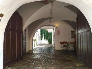 Гостевой дом Guesthouse Postavarului Брашов Одноместный номер-2