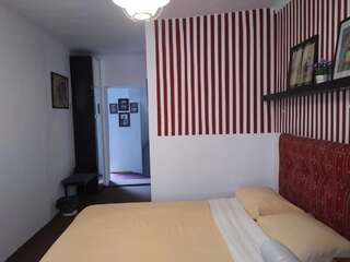 Гостевой дом Guesthouse Postavarului Брашов Двухместный номер с 1 кроватью-8