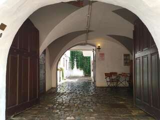 Гостевой дом Guesthouse Postavarului Брашов Одноместный номер-15