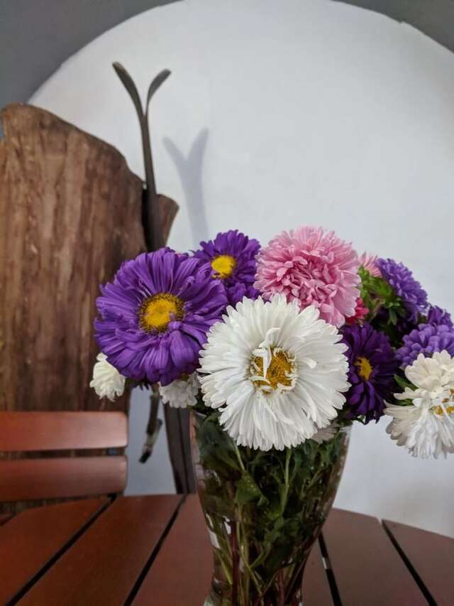 Гостевой дом Guesthouse Postavarului Брашов-20